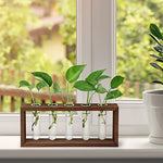 Propagation Tubes with Wooden Stand Wall Hanging Plant