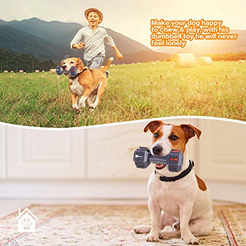Durable Dog Chew Toys