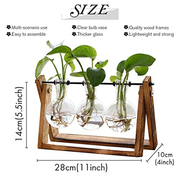 Plant Terrarium with Wooden Stand
